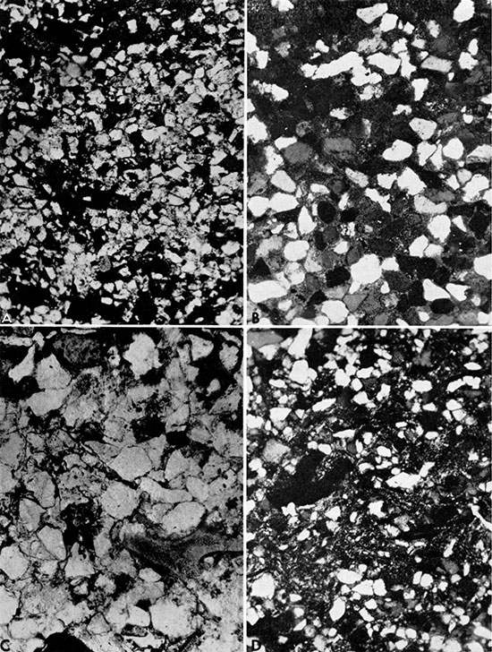 Four black and white photos: Photomicrographs of thin sections of noncalcareous sandstone and siltstone.