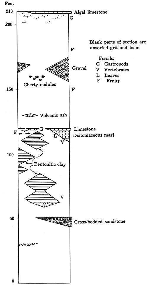 Generalized section of Ogallala.