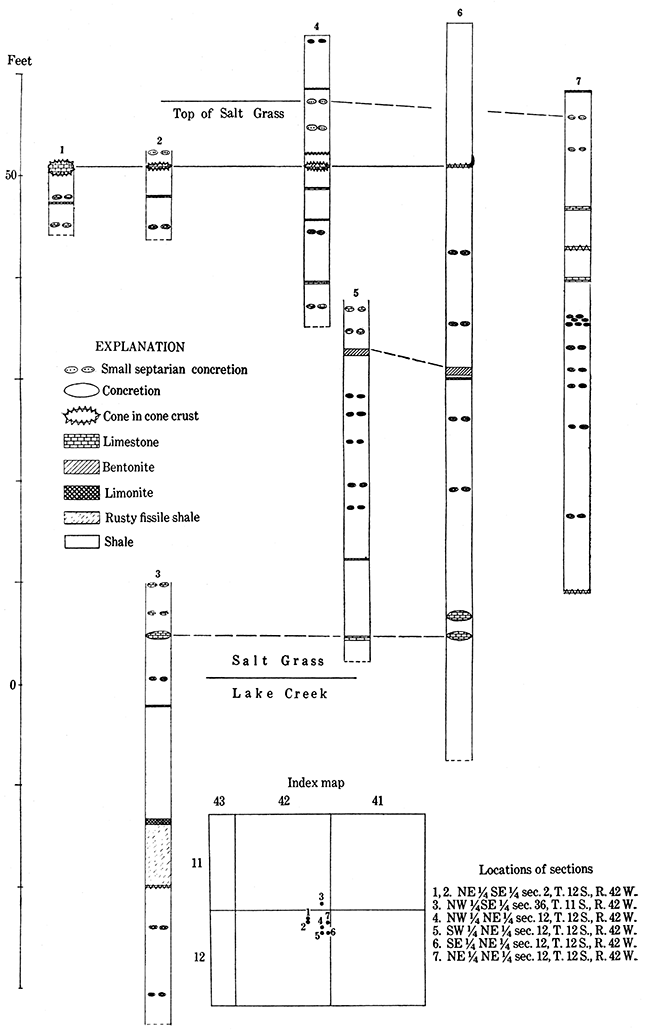 Geologic sections of Salt Grass and Lake Creek members.