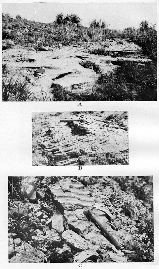 Three black and white photos; top is of outcrop and lower two are closeups.