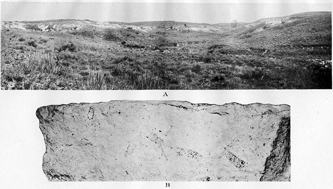 Two black and white photos; top is exposures west of Rhinoceros Hill on south side of north fork of Smoky Hill river; bottom is diatomaceous marl of Ogallala, with flattened cases of caddis worms.