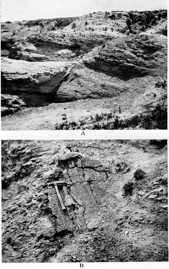 Two black and white photos of Niobrara chalk.