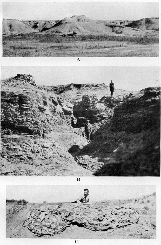 Three black and white photos of Sharon Springs shale member.
