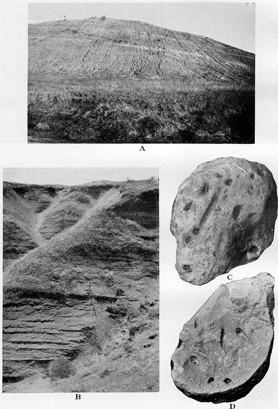 Three black and white photos; top two are of Lower Weskan shale member; bottom is of concretions from Lower Weskan shale member.