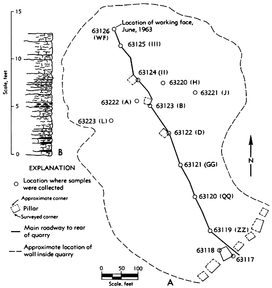 Map shows samples locations in quarry, simple stratigraphic chart.