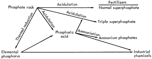 Phosphate rock processed directly for use as elemental phosphorus or fertilizers; processed into Phosphoric acid for use in fertilizers and industrial chemicals.