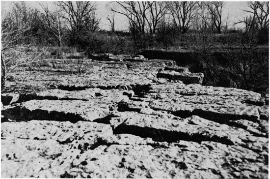Black and white photo of joint traces in Winfield Limestone.