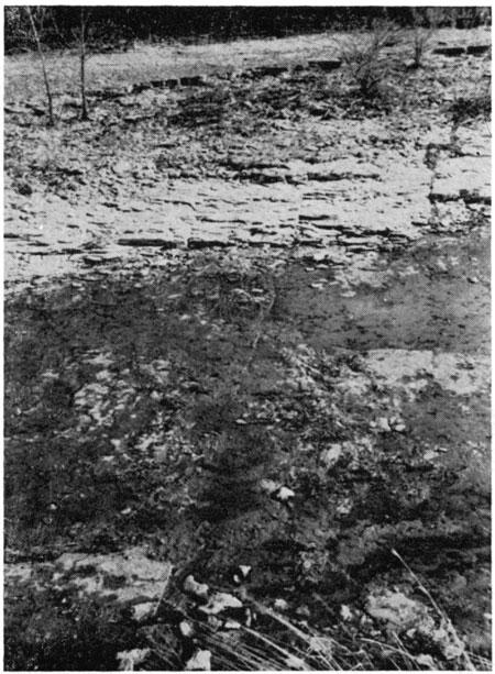 Black and white photo; Fort Riley Limestone.