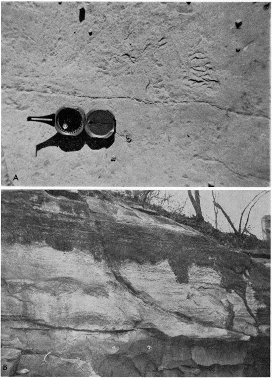 Two black and white photos; top is of Herington Limestone, bottom is of Winfield Limestone.