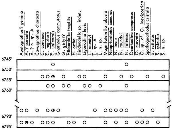 figure shows fossils found in St. Louis Limestone