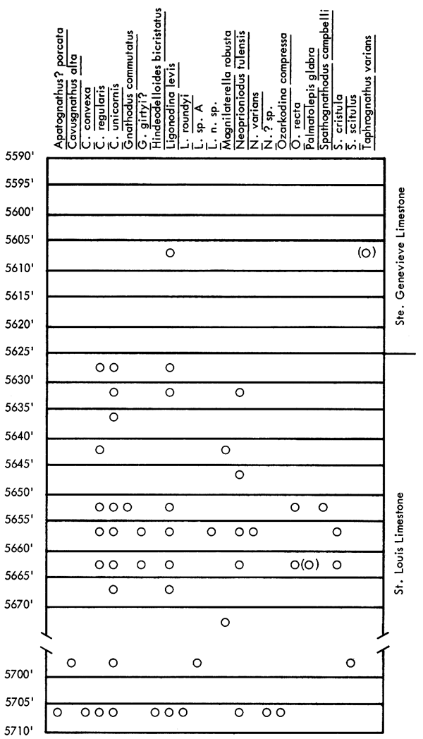 figure shows fossils found in Cities Service Kells B-1