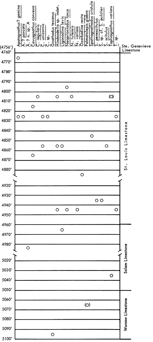 figure shows fossils found in Atlantic Oil Co. No. 1-A Mark