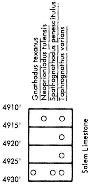 figure shows fossils found in Mull-Mobil Oil Co. No. 1 Matkin