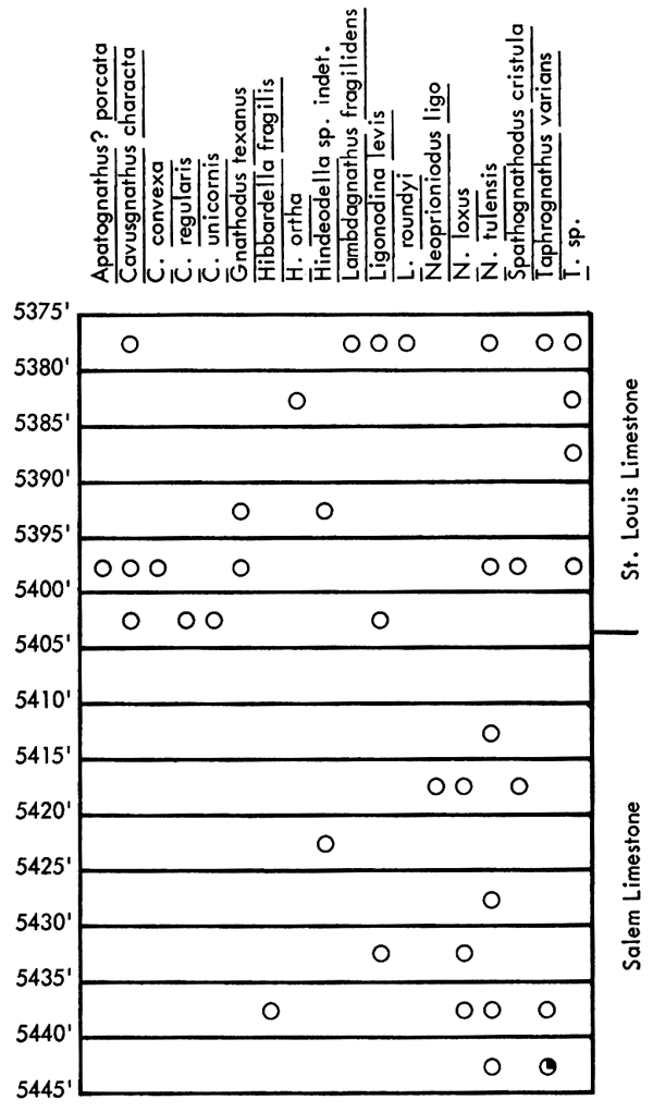 figure shows fossils found in Sinclair-Prairie No. 1 Exchange Bank