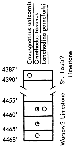 figure shows fossils found in Sinclair Oil and Gas No. A-1 Colburn