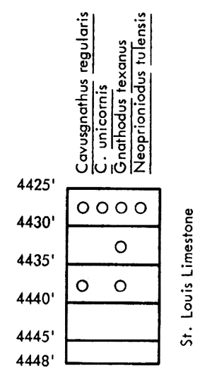 figure shows fossils found in Kessler and Thier No. 1 Wolfje