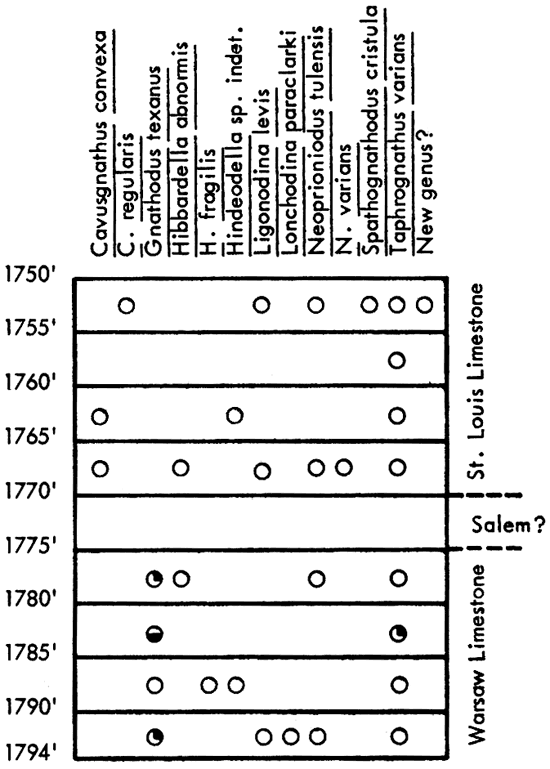 figure shows fossils found in Western Petroleum Co. No. B-1 Dalton