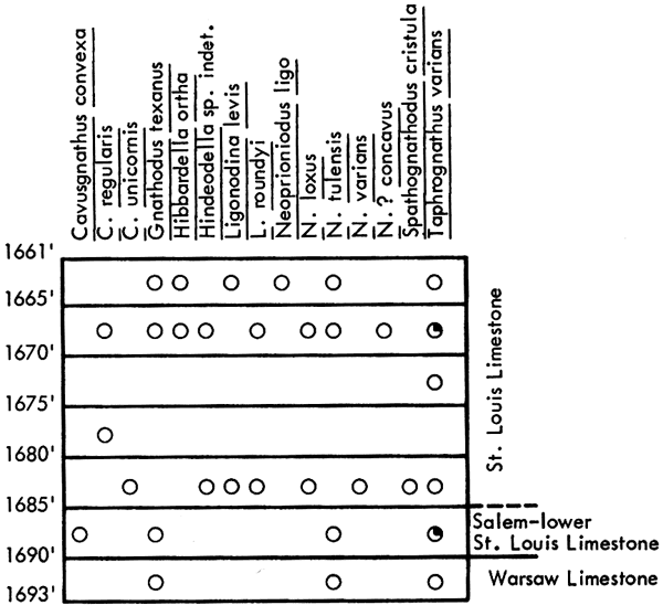 figure shows fossils found in Sinclair Oil and Gas Co. No. 6 H.G. Collins