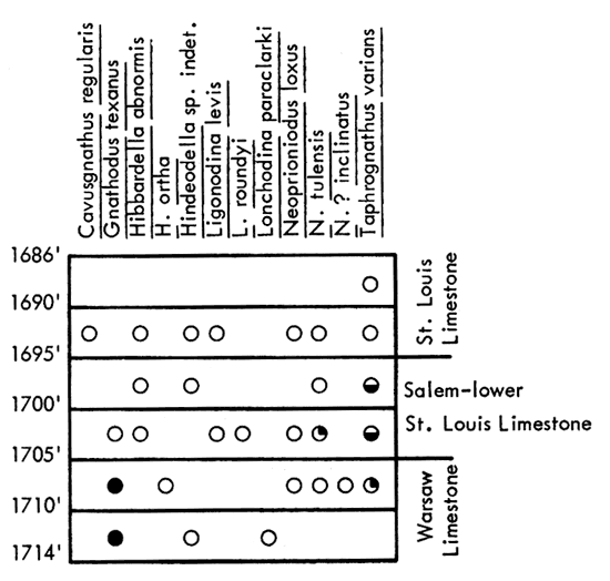 figure shows fossils found in Sinclair Oil and Gas Co. No. A-12 W.P. Headley