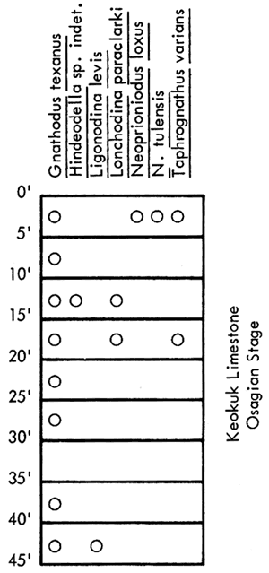 figure shows fossils found in Mississippian outcrop of the Keokuk Limestone