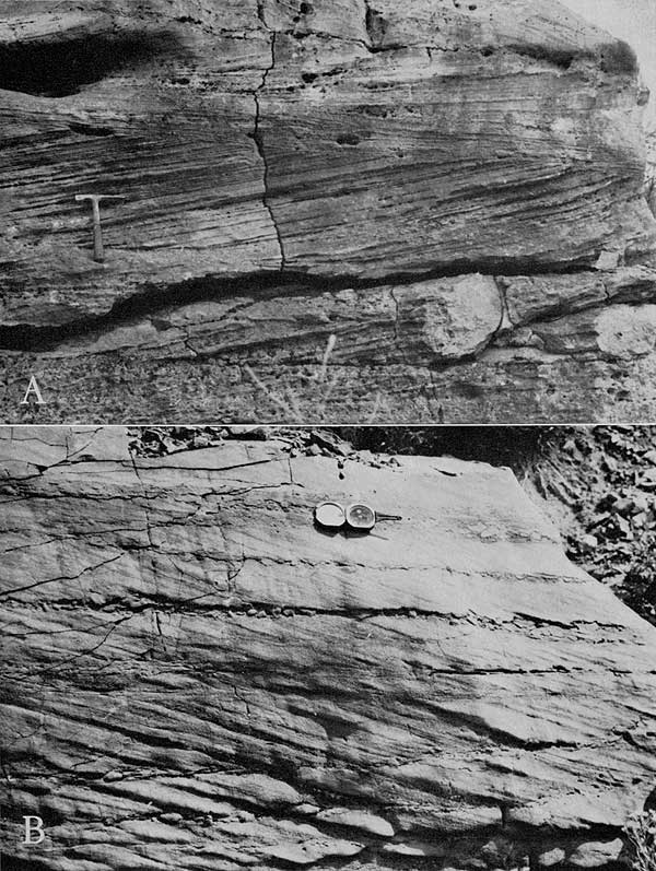 Two black and white photos showing cross bedding in outcrops.