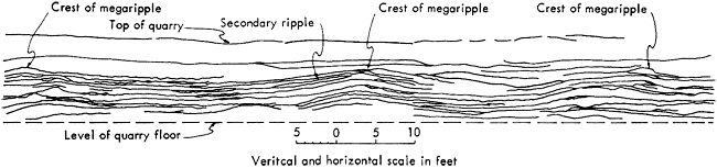 Megaripples exposed on quarry wall.