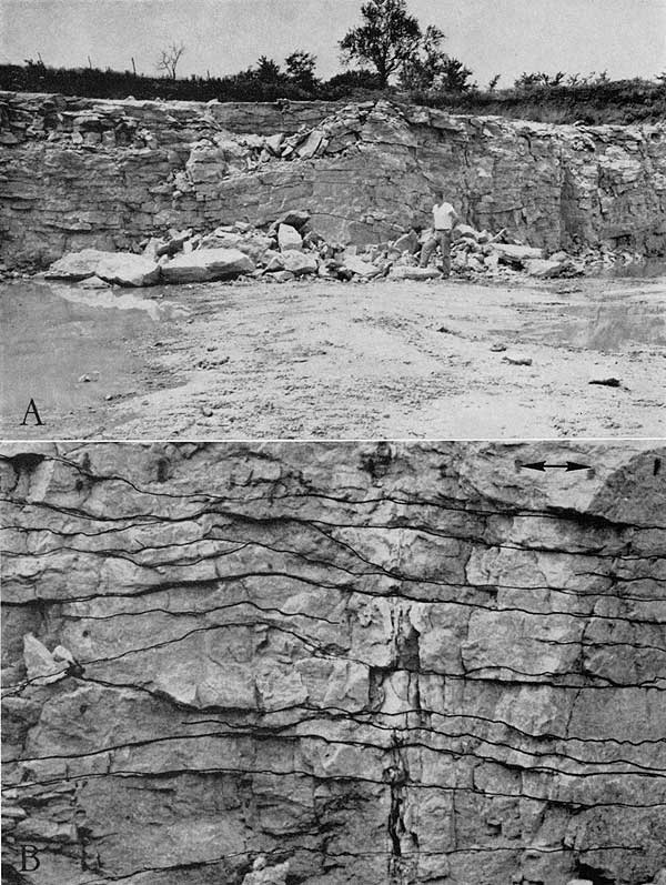 Two black and white photos shing megaripple marks in quarry walls.