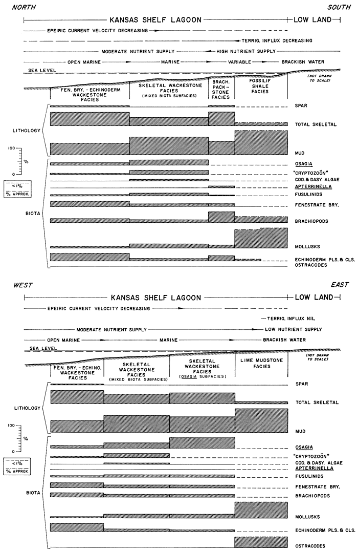 Two cross sections show location of facies and facies composition.