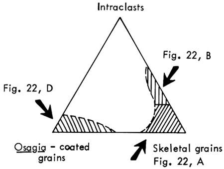 Diagram relates samples to amounts of Intraclasts, Osagia-coated grains, and Skeletal grains.