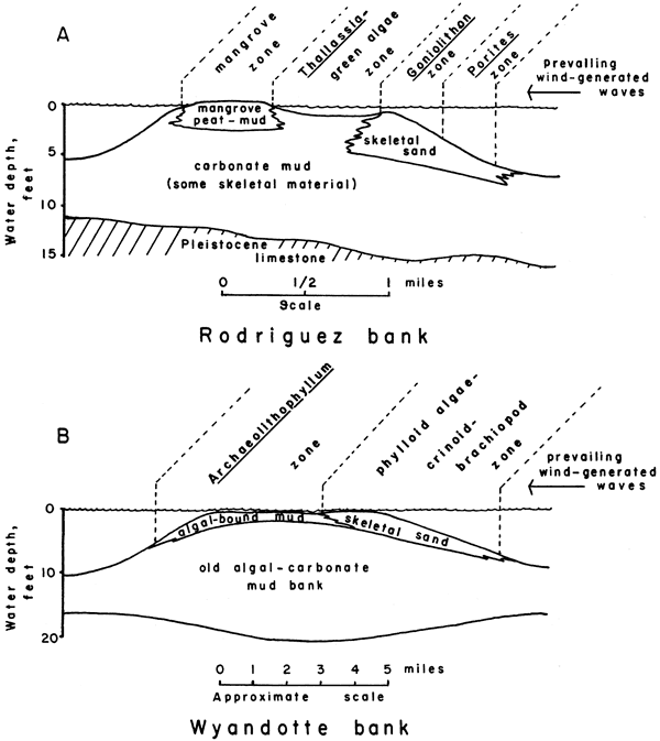 Comprison of features of Wyandotte bank and modern Rodriguez bank.