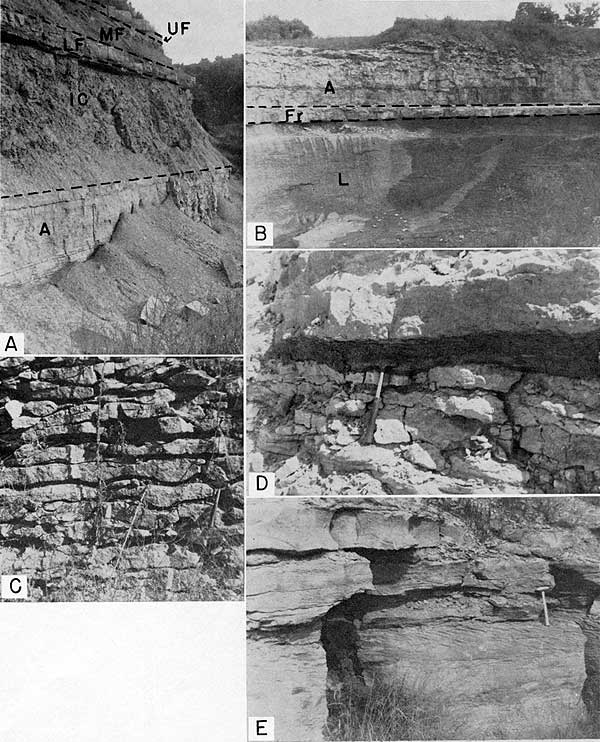 Five black and white photos of members of the Wyandotte Limestone