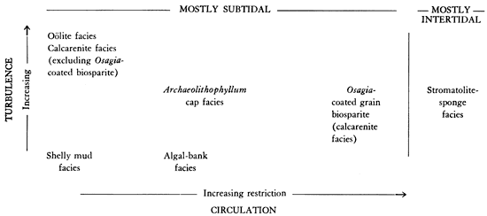 Oolite and Calcarenite facies are mostly subtidal and higher turbulance; Shelly mud and Algal bank are low turbulance, but algal bank has more restricted circulation; Archaeolithophyllum cap and Osagia-coated grain are middle turbulance, with Osagia having more restricted circulation; Stromatolite-sponge is mostly intertidal.