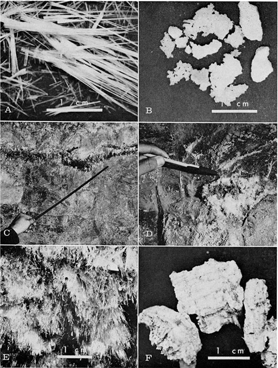 Six black and white photos showing forms of epsomite.