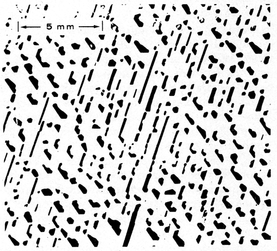 Black and white photomicrograph.