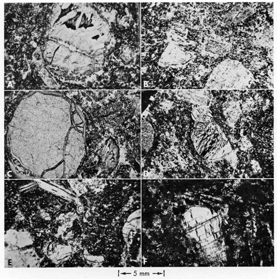 Six photomicrographs.