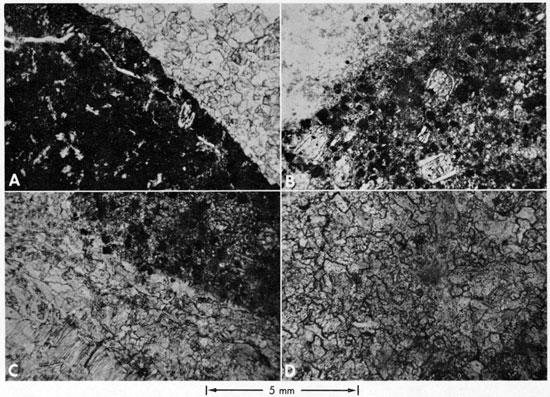 Four photomicrographs.