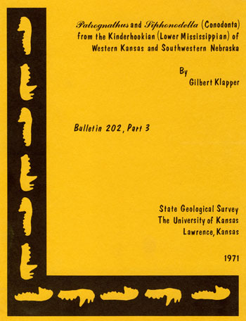 Cover of the book; gold paper with black ink.