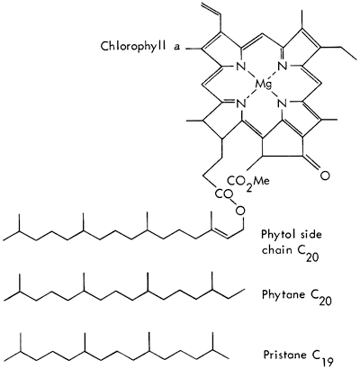 Three skeletal formulae showing chlorophyll, phytane and pristane.