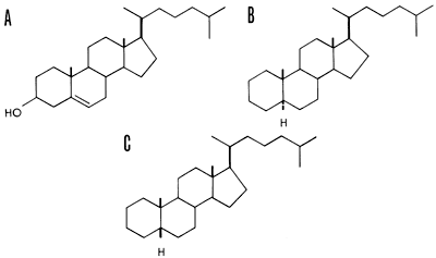 Three skeletal formulae showing versions of cholesterol.