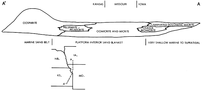 Oosparite and Pelsparite-pelmicrite in Kansas grades to oomicrite and micrite in Missouri to Laminated dolomitic micrite and Osagia biomicrite in Iowa.