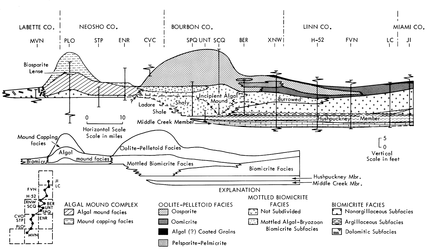 Cross section shows changes in facies from county to county.