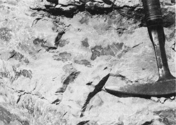 Black and white photo of sample in field, rock hammer for scale.