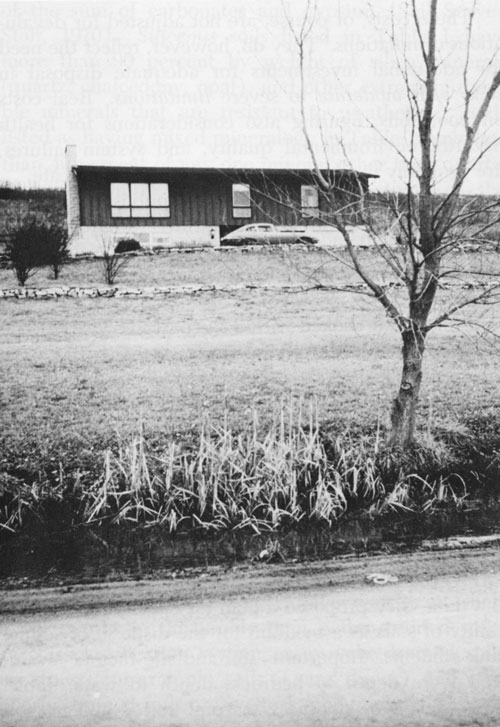 Photo of small home at top of slope; roadside ditch at bottom of hill  contains water-loving plants.