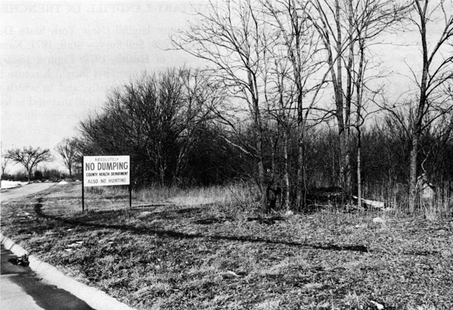 Photo of curved road next to forest in winter; grassy area between trees and road has a large no dumping sign.