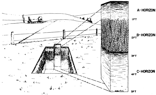 Pit dug in field with trench on one side for soil investigation.