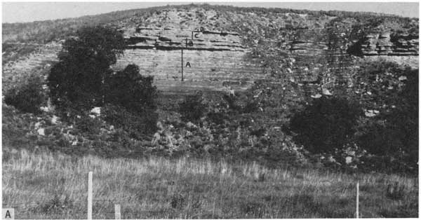 Black and white photo of Jetmore member; sharp cliff above grasslands and brush.
