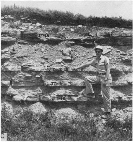 Black and white photo of upper three submembers of Jetmore member, researcher for scale.