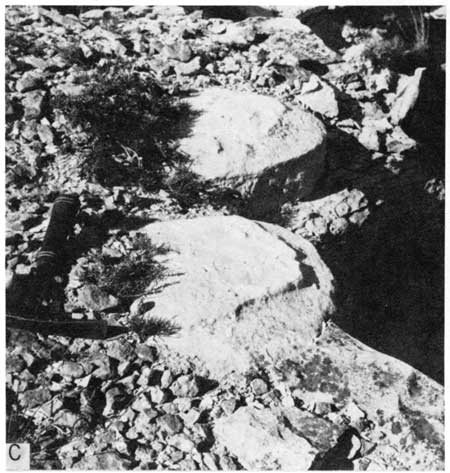 Black and white photo of Shellrock limestone.