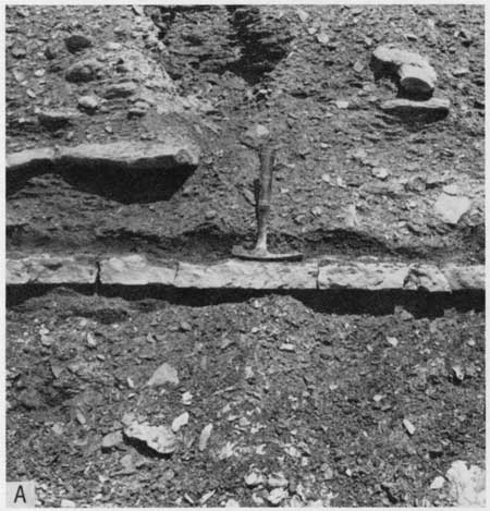 Black and white photo of Pfeifer Member at outcrop, hammer for scale.