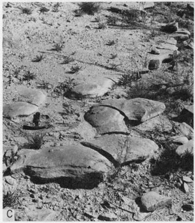 Black and white photo of Pfeifer Member concretions, at outcrop, hammer for scale.